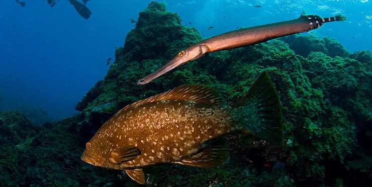 El Hierro – Die nachhaltige Schatzinsel des kanarischen Archipels