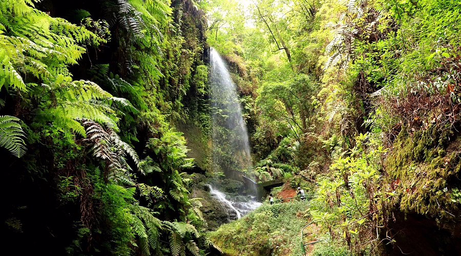 La Palma – Die grüne Seele der Kanarischen Inseln